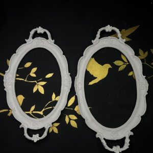 سینی کد 560